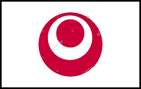 Okinawan Flag